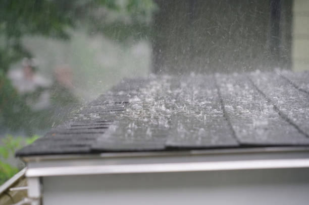 Best Roof Maintenance and Cleaning  in White Island Shores, MA